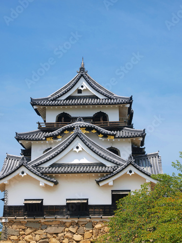 Castle  Hikone   tower
