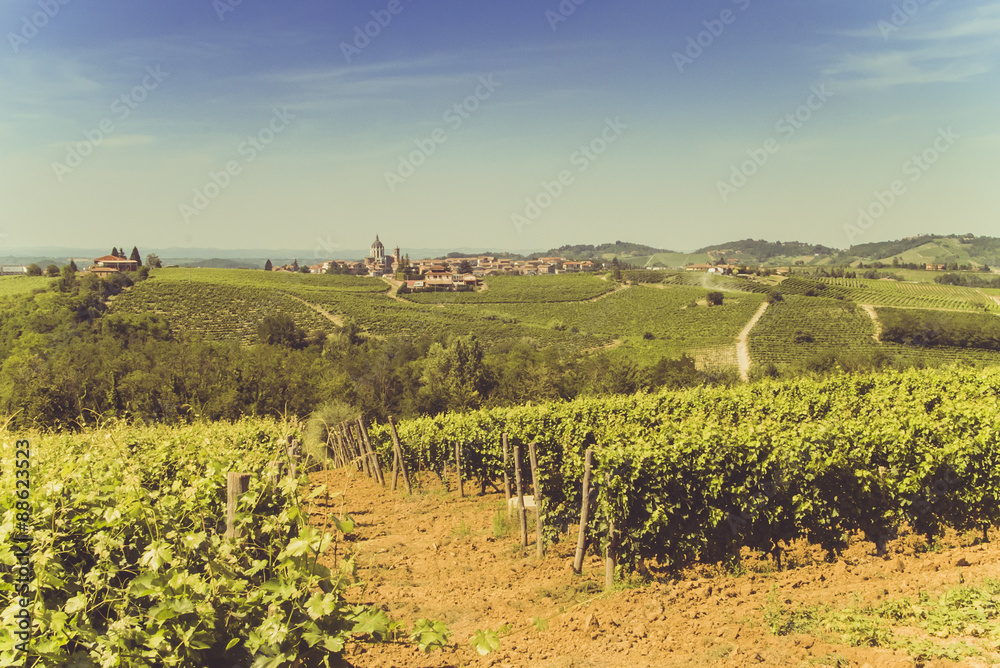 Vineyards and hills