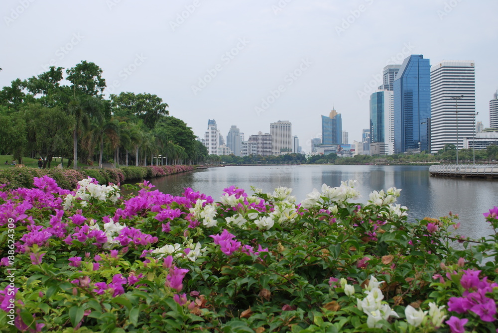 Fototapeta premium Lake garden