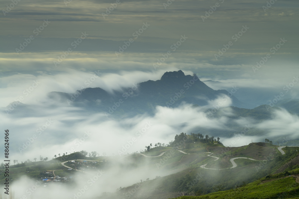 Beautiful flowing fog on the mountain.