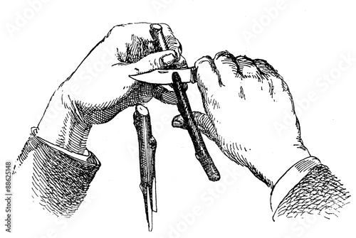Canvas Print agricolture engraving - preparing a stem grafting