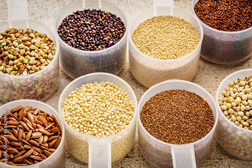 gluten free grains in plastic scoops gluten free grains in plastic scoops