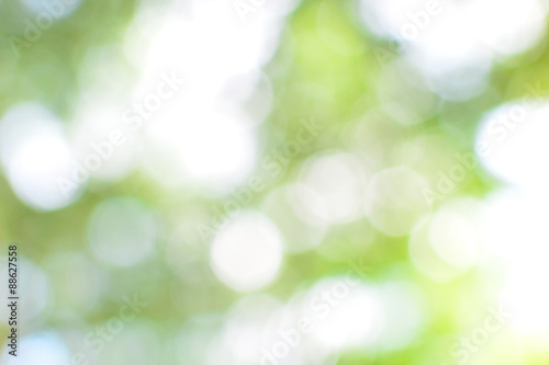 abstract blur soft green bokeh background © kuarmungadd