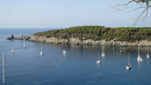 boats in a marina, panoramic view 