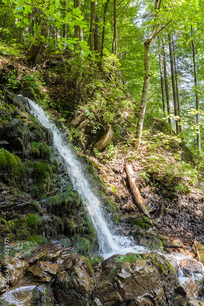 Fototapeta premium waterfall in the Carpathian mountains