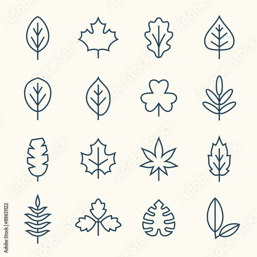Leaf icon set