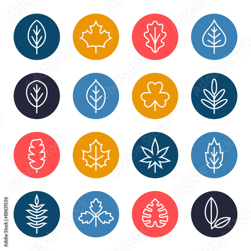 Leaf icon set