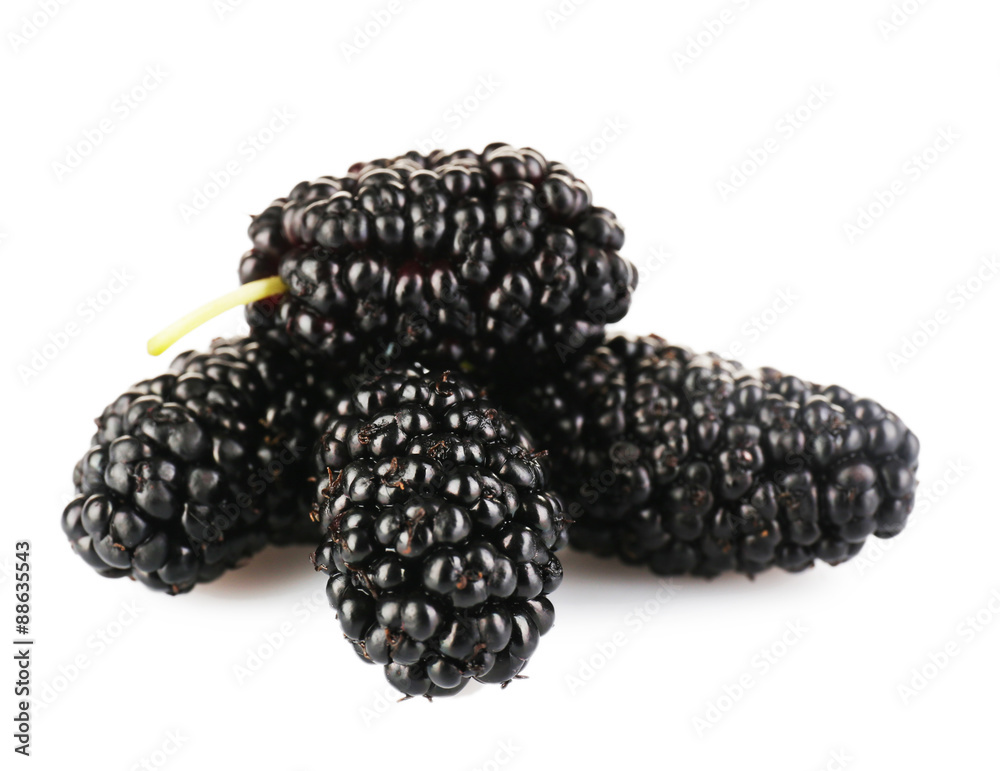 Fresh mulberry isolated on white Fresh mulberry isolated on white