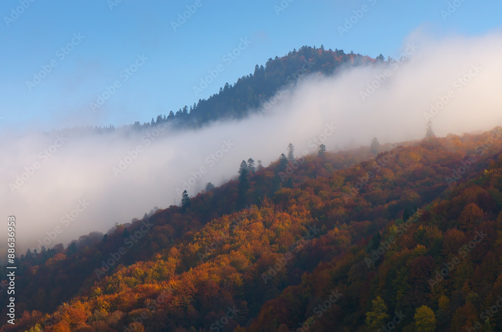 Cloud on the hillside Cloud on the hillside