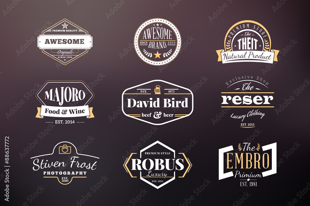 Set of Hipster Retro Badges, Labels, Logotypes. Vector Design Templates