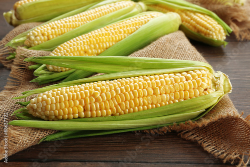 Fresh corn on cobs on sackcloth, closeup