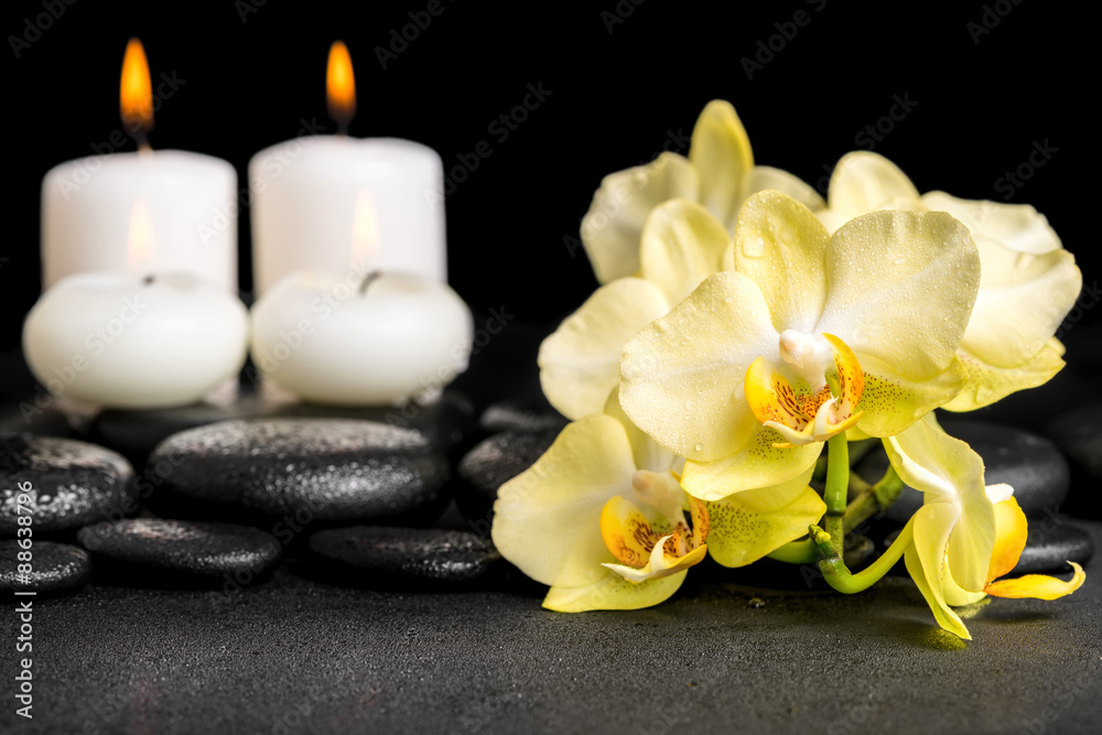 beautiful spa still life of yellow orchid phalaenopsis and candl