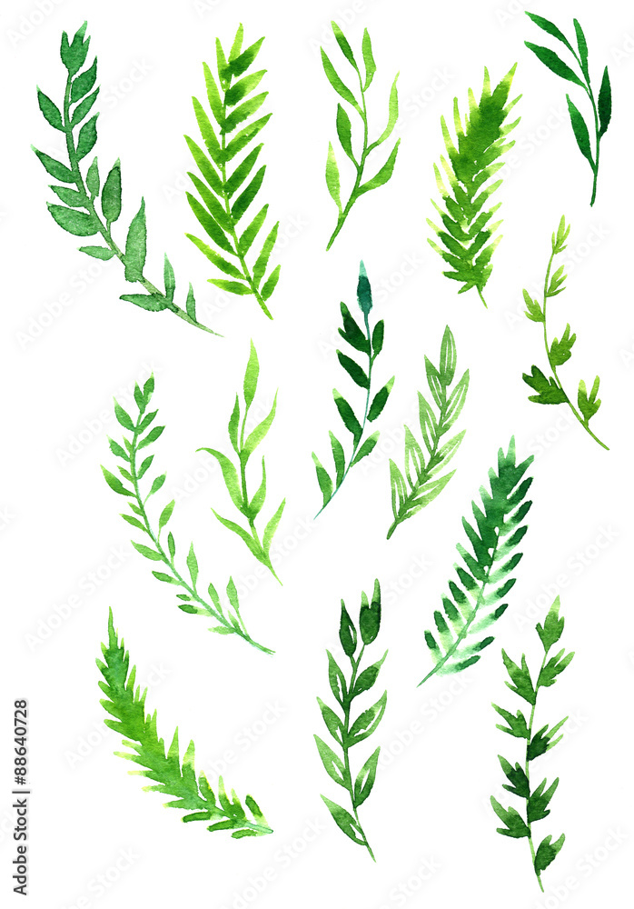 set of abstract branches in watercolor set of abstract branches in watercolor