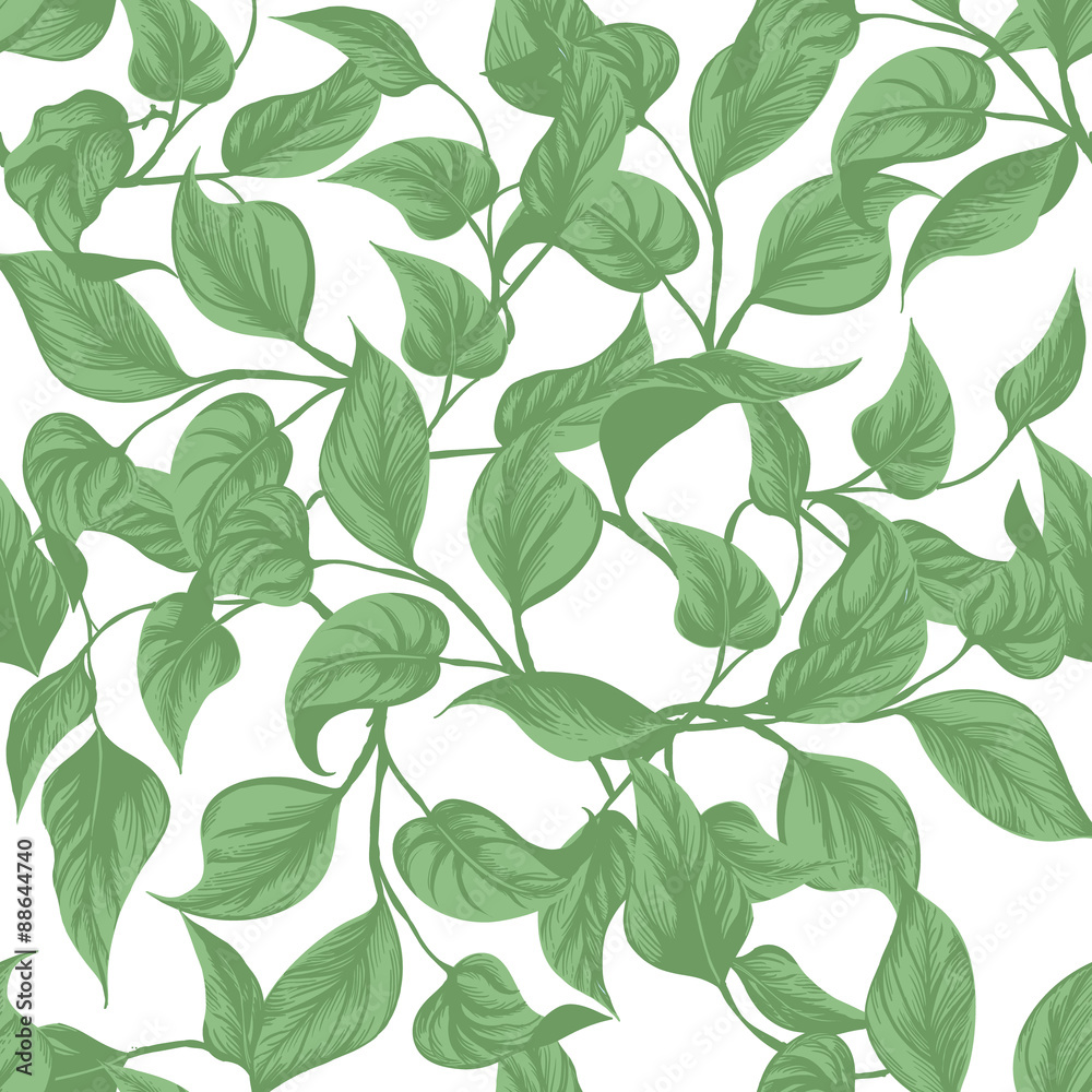 seamless background. leaves Monstera with outline seamless background. leaves Monstera with outline