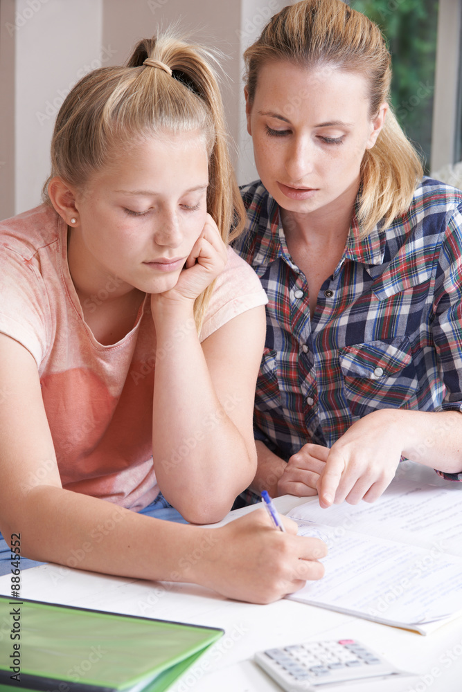 Female Home Tutor Helping Girl With Studies