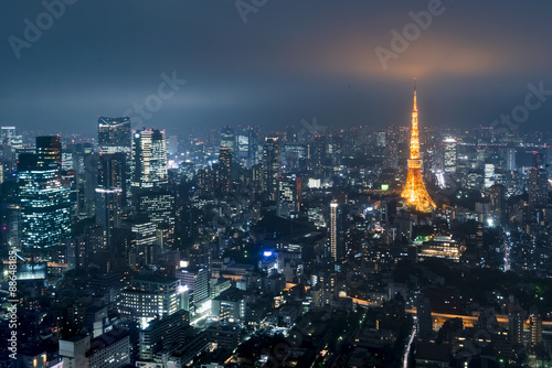Tokyo from above with Tokyo Tower in the background