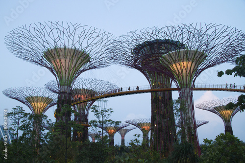 Grove of Supertrees lighted at dusk.Gardens by the Bay,Singapore © hberal