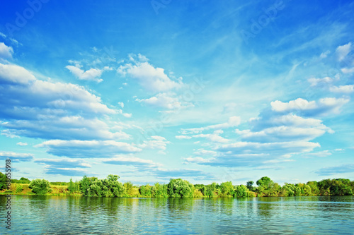 Bank of river with green trees on summer day