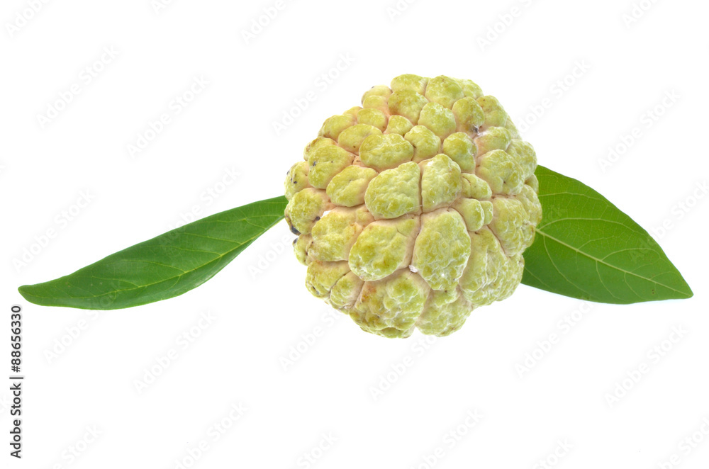 Fototapeta premium Fresh custard apple isolated on white background