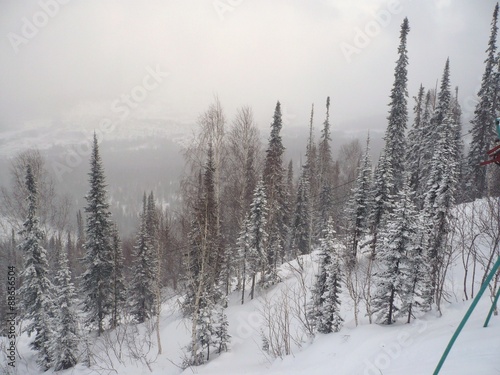 Черневая тайга на склонах горы Зелёная. Шерегеш, Кемеровская область