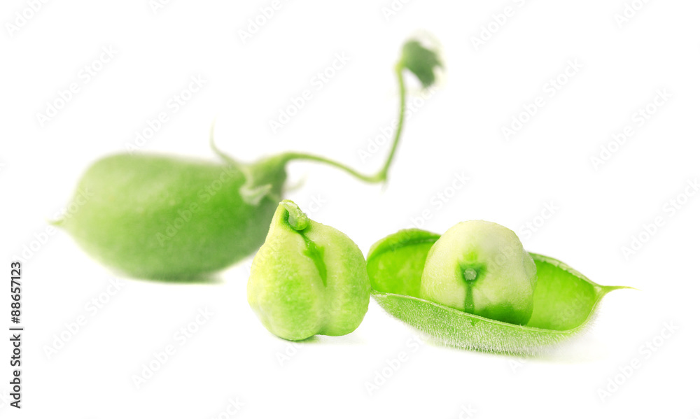 custom made wallpaper toronto digitalГорошины зеленого нута