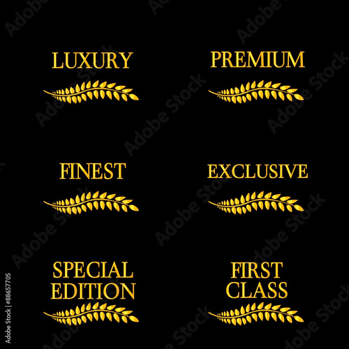 Luxury Seals 4