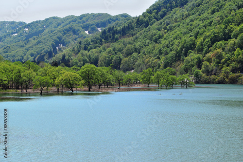 荒沢ダム（山形県鶴岡市）／荒沢ダムは朝日連峰・以東岳にその源を発し、日本海に注ぐ一級河川・赤川の上流に位置しています。総貯水容量は県内最大規模で、洪水調節及びかんがい用水、水力発電に貢献しています。このダムの建設により、荒沢集落42戸200余名の移転、水田、畑、山林等1.89平方キロメートルが水没しました。埋没林は独特の景観を創り出しています。