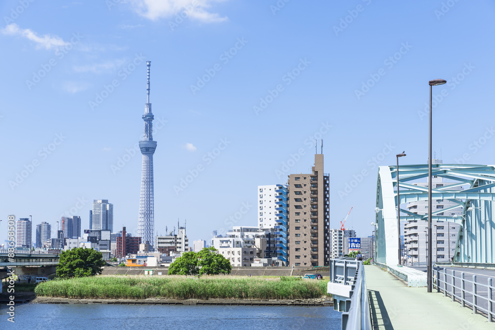 荒川に架かる新四ツ木橋より望むスカイツリー Stock Photo Adobe Stock