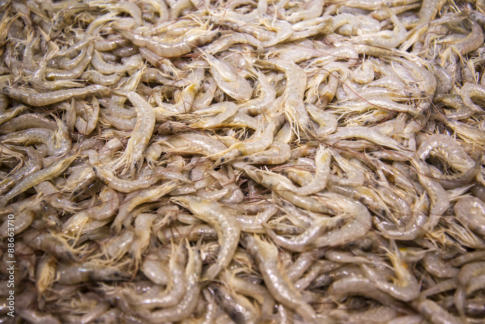 Prawns Prawns
