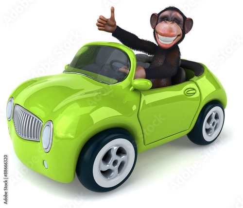 Photography Fun monkey