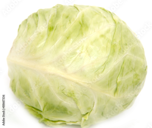 cabbage on a white background