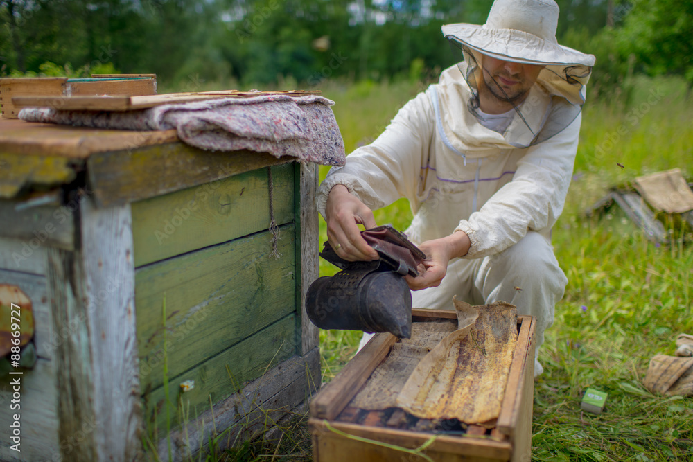 Beekeeper is working with bees and beehives on the apiary. Beekeeper is working with bees and beehives on the apiary.