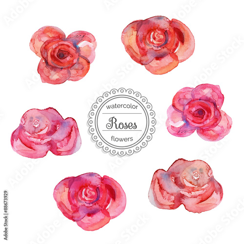 Vector illustration. Watercolor roses in vintage style for design. Set of red and pink roses with watercolor texture. Vintage hand drawn roses. Watercolor elements for  design and illustrations.