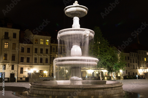 Fountain in Novi trg (city square) at night.