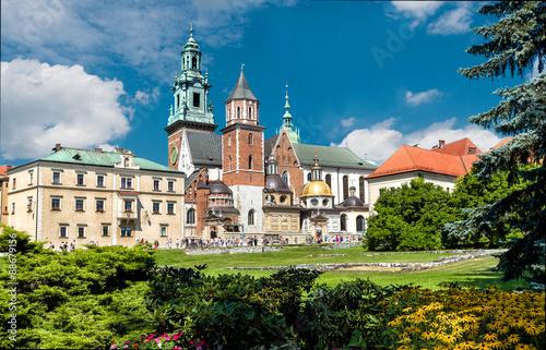 Wawel Cathdral and Castle, Krakow, Poland #88679156