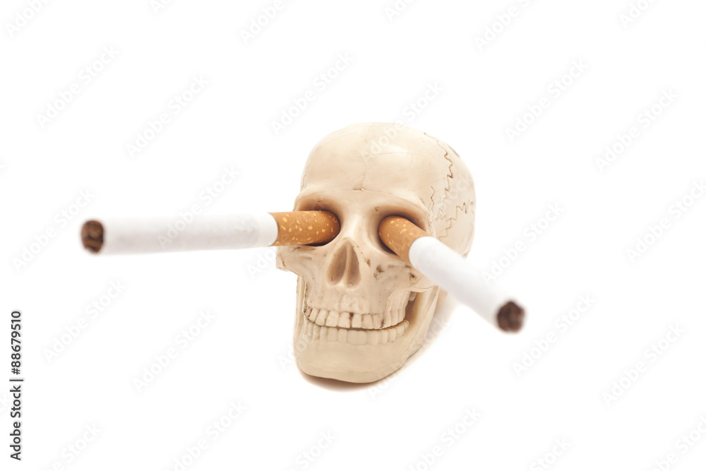 Human scull with cigarettes isolated on white Human scull with cigarettes isolated on white