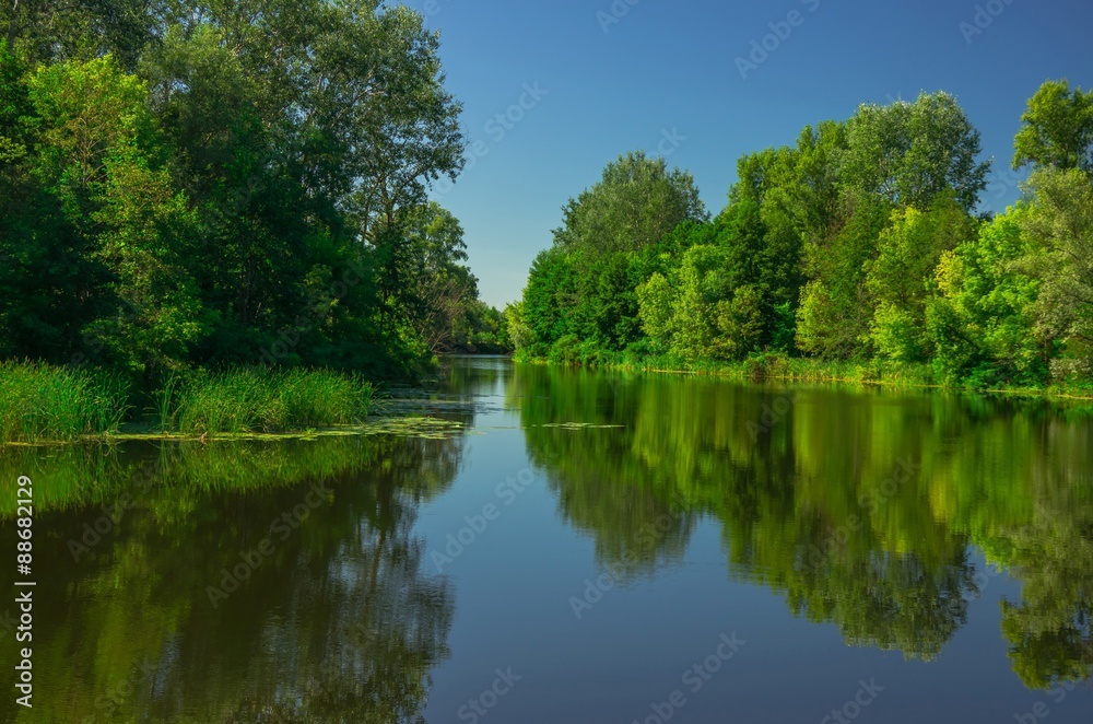 Sunny day on the quiet river