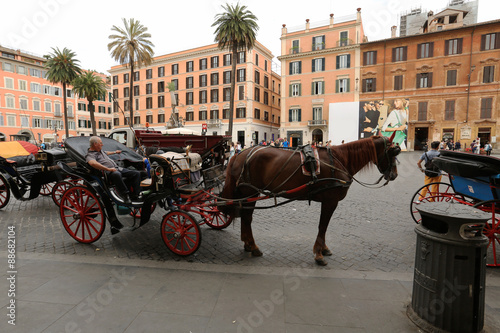 Fotografie Horse, carriage horses, with coachman and bridle