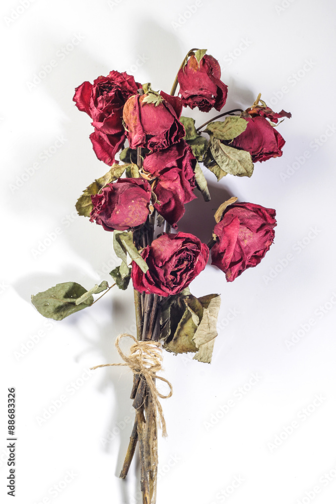 Obraz premium tied dried roses