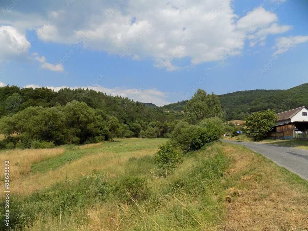 Meadow, road, house, forest and sky