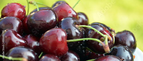 Foto red wet  cherry , macro