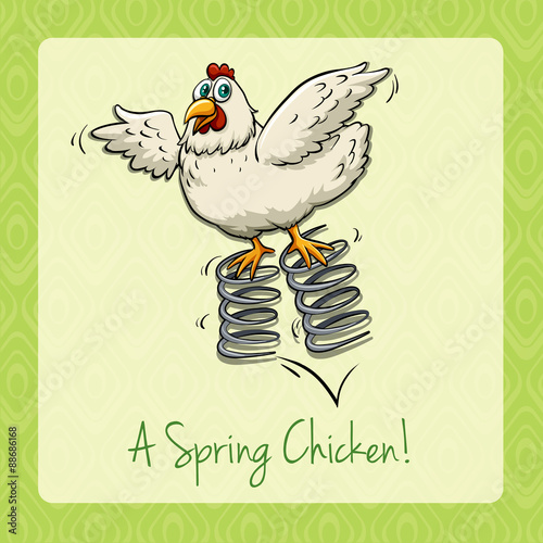 English idiom spring chicken