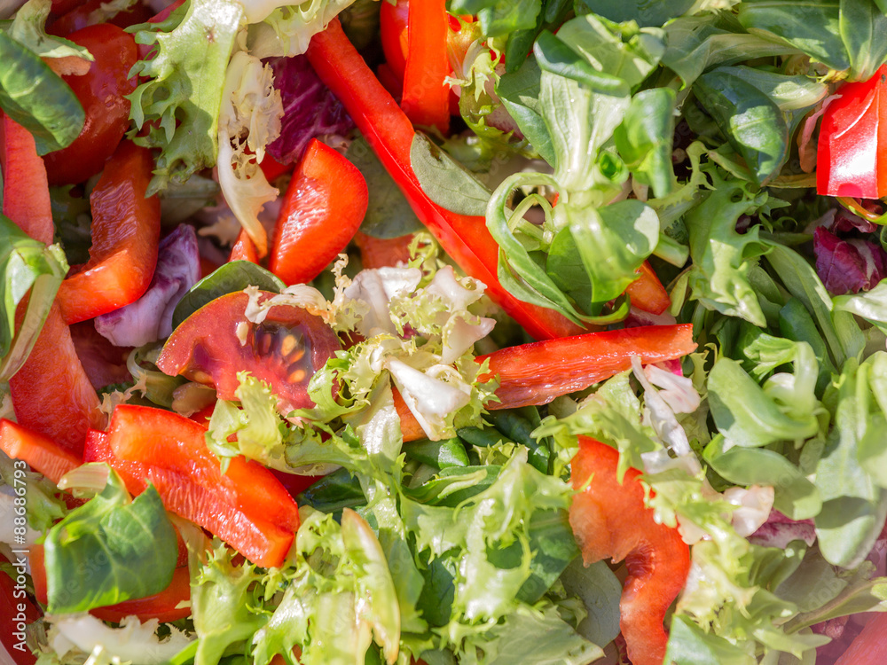 salad with arugula and red pepper salad with arugula and red pepper