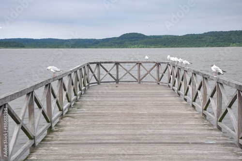 Ein Holzsteg über dem See photo