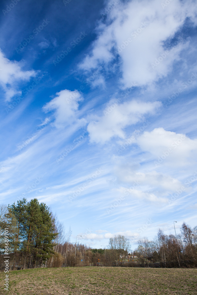 Long cirrus clouds skyscape