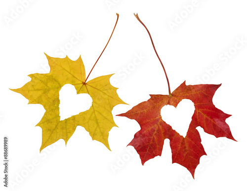 Cuadro en lienzo Autumn_Love