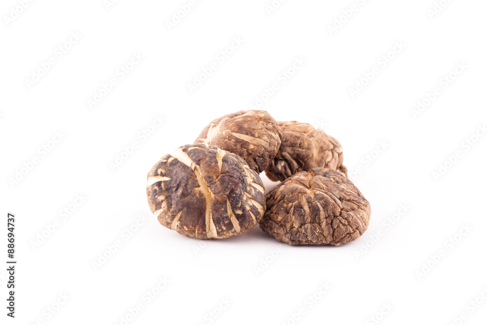 Shiitake mushroom on the White background. Shiitake mushroom on the White background.