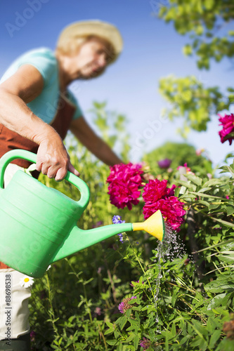 Senior woman watering flowers in her garden - selective focus © Mikko Lemola