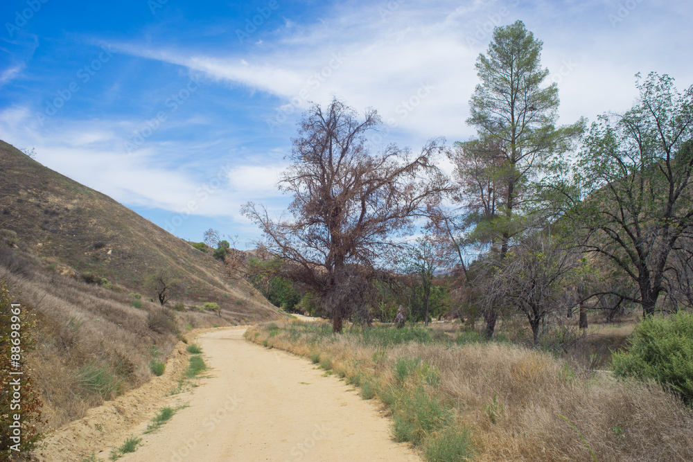 Winding Dirt Road in Canyon Winding Dirt Road in Canyon