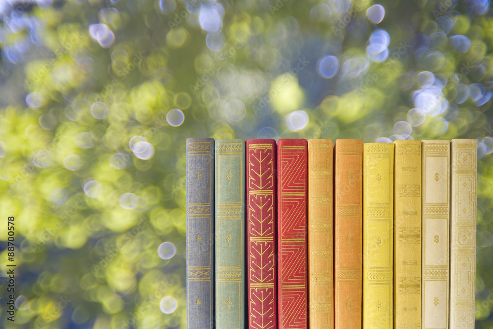Fototapeta premium row of books on blurred nature background, free copy space